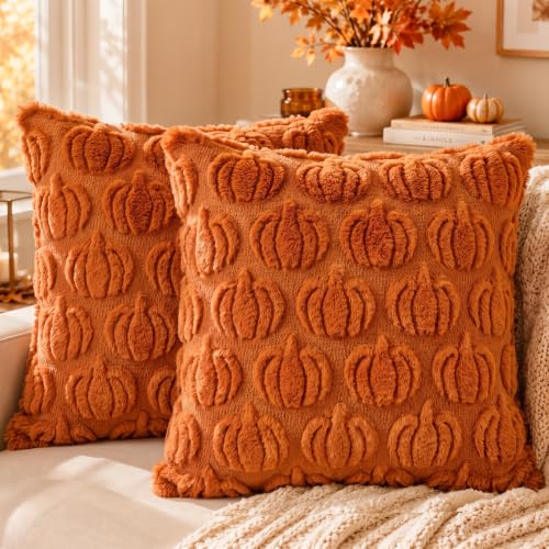 Caramel Fall Pillow Covers 18x18 Set of 2 Pumpkin Plush Decor