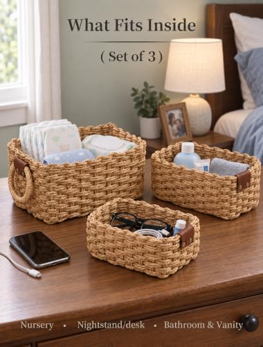 Small Wicker Storage Baskets Set of 3 - Natural Paper Rope with Handles