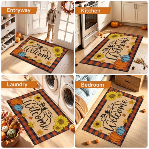 Fall Pumpkin Entryway Mat 32x48 Inch Front Door Decor - Plain Pumpkin Variation