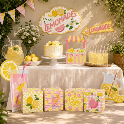 Pink Lemonade Party Decorations Set with Photo Props and Standee