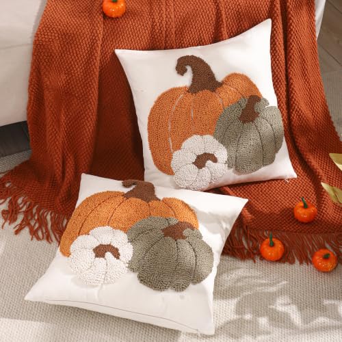 Halloween Pumpkin Embroidered Throw Pillow Covers Set of 2 - 18x18 Inches, Rustic Fall Farmhouse Decor, Hidden Zipper, Three Color Pumpkin