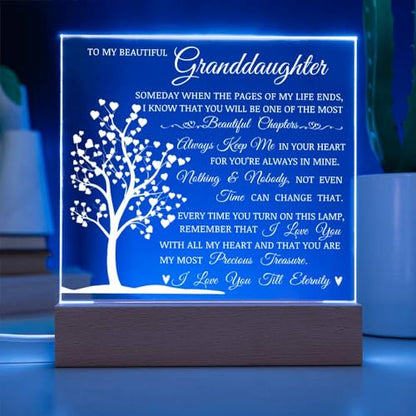 Granddaughter Gift Acrylic Plaque with Decorative LED Light - Heartwarming Keepsake
