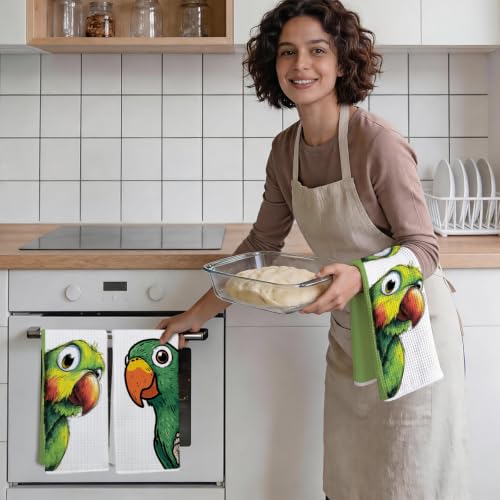 Multicolor Parrot Kitchen Towels Set - 24x14 Waffle Microfiber Dish Towels