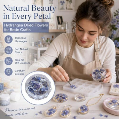 Color 6 Dried Flowers for Nail Art, Natural Pressed Botanical Accents, 1 Piece