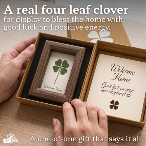 Clover Gift for Housewarming - Real Four Leaf Clover Keepsake for New Home - Variation of This Listing