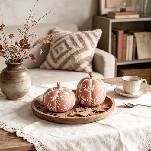 DN DECONATION Fall Pumpkin Decor Set - Orange Terracotta Rustic Thanksgiving Table Centerpieces