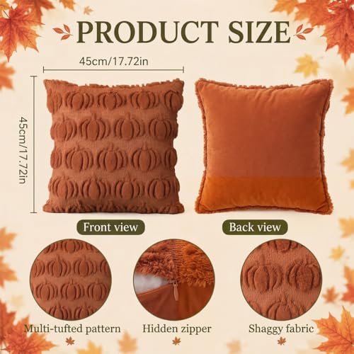 Orange Fall Pumpkin Throw Pillow Covers Set of 2, 18x18 Plush Cushion Case