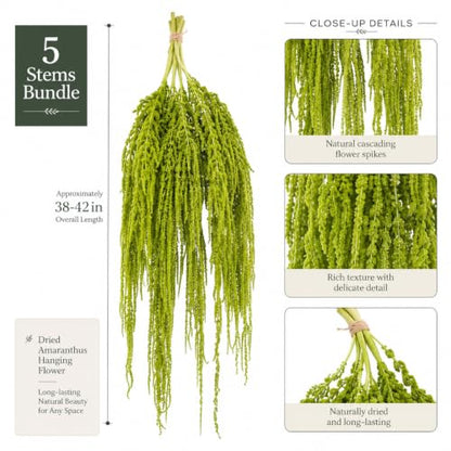 Natural Dried Amaranthus Hanging Flowers - Green Tassel Blooms, 23-27 Inches