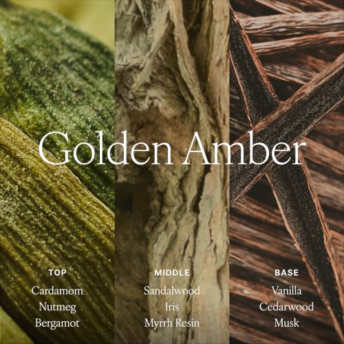 Antica Farmacista Reed Diffuser - Golden Amber Scent, 3.4 fl oz - Pack of 1
