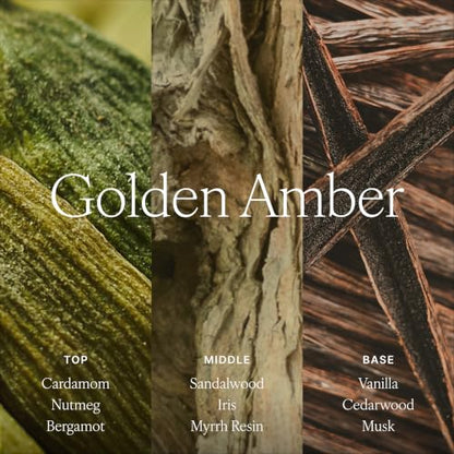 Antica Farmacista Reed Diffuser - Golden Amber Scent, 3.4 fl oz - Pack of 1