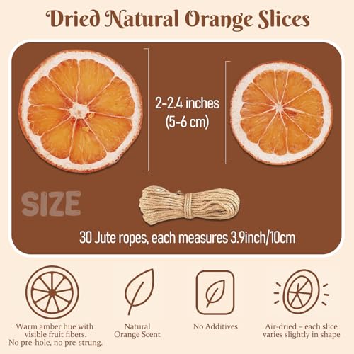 Orange Dried Slices for Crafts & Decor - 30 Pieces with Twine, Christmas Wreath & Garland Supplies