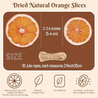 Orange Dried Slices for Crafts & Decor - 30 Pieces with Twine, Christmas Wreath & Garland Supplies