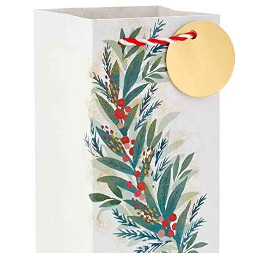 Bar Keepers Friend Removes Rust Gold 15 Oz