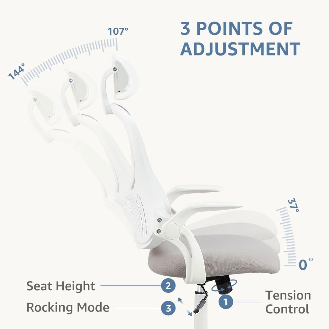 Skiennix Ergonomic Office Chair - Adjustable Lumbar Support & Flip-Up Armrests | High Back Mesh Taskchair in Grey