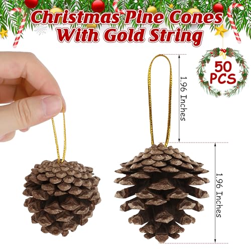 50 Pack Natural Pine Cones for Crafts and Holiday Decor - 1.96 Inches with Gold String - Rustic Christmas Ornaments & Table Decorations