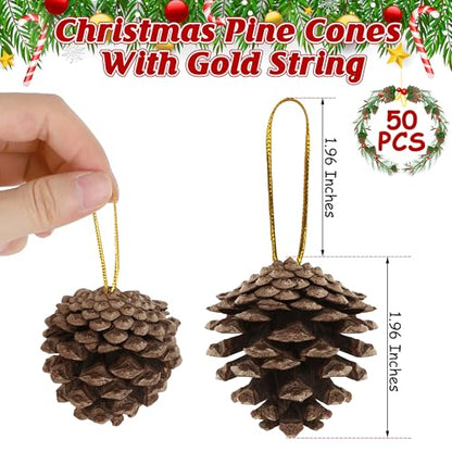 50 Pack Natural Pine Cones for Crafts and Holiday Decor - 1.96 Inches with Gold String - Rustic Christmas Ornaments & Table Decorations
