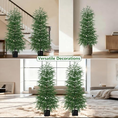 Norfolk Pine Tree Artificial Indoor Outdoor 5FT with Pot - 2 Pack