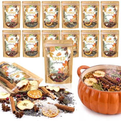 Fall Simmer Pot Mix with Dried Fruits and Herbs - Natural Aromatherapy Gift Set