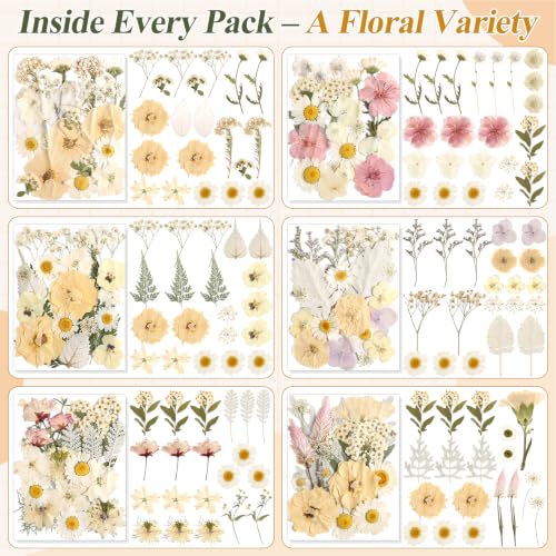 Boho Pressed Flowers Dried Florals for Scrapbooking Crafts & Home Décor - 120 PCS
