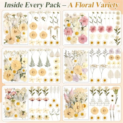 Boho Pressed Flowers Dried Florals for Scrapbooking Crafts & Home Décor - 120 PCS
