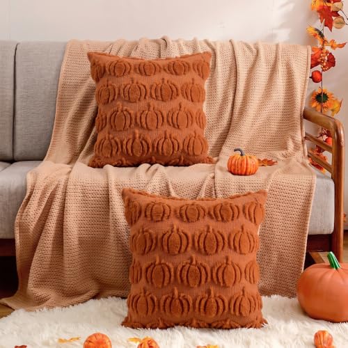Orange Fall Pumpkin Throw Pillow Covers Set of 2, 18x18 Plush Cushion Case