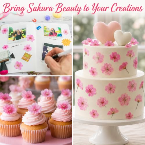 Pressed Edible Cherry Blossom Flowers for Cakes & Cocktails - 54 PCS