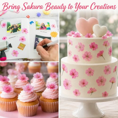 Pressed Edible Cherry Blossom Flowers for Cakes & Cocktails - 54 PCS