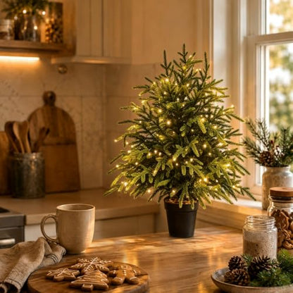 Gradient 2FT Pre-Lit Norfolk Pine Christmas Tree with Lights & Timer