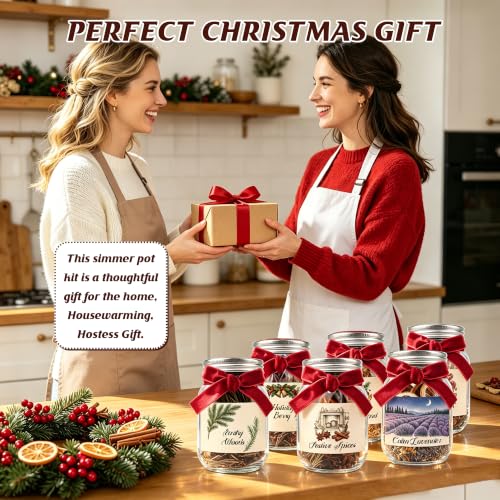 Christmas Potpourri Set with Jars - 6 Fragrance Blends for Festive Aromas