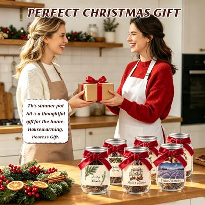 Christmas Potpourri Set with Jars - 6 Fragrance Blends for Festive Aromas