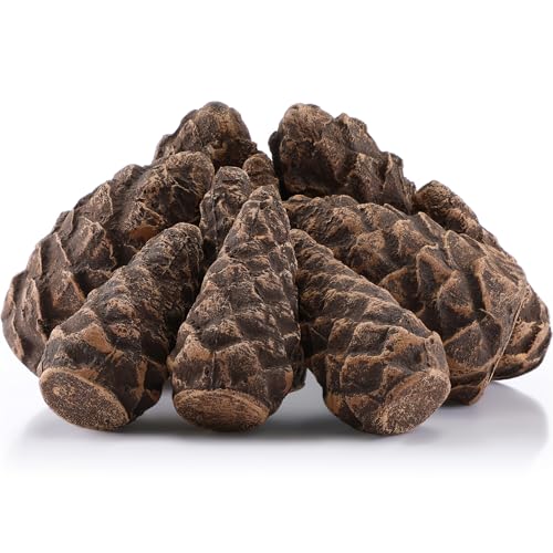 Ceramic Pine Cone Fire Pit Decor Set - 10 Fireproof Christmas Accessories