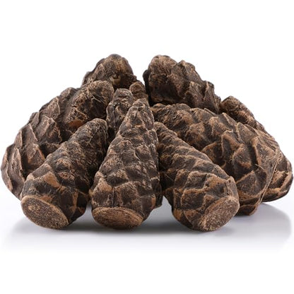 Ceramic Pine Cone Fire Pit Decor Set - 10 Fireproof Christmas Accessories