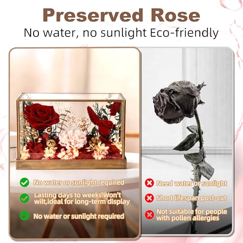 Forever Rose in Glass Dome Gift – Preserved Rose for Mom, Wife, Girlfriend