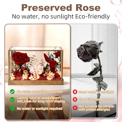 Forever Rose in Glass Dome Gift – Preserved Rose for Mom, Wife, Girlfriend