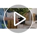 Pre-Lit Flocked Artificial Christmas Tree 3ft with 50 LED Lights, Realistic Faux Pine