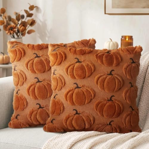 Rust Fall Pumpkin Throw Pillow Covers 18x18 Set of 2 - Farmhouse Decor