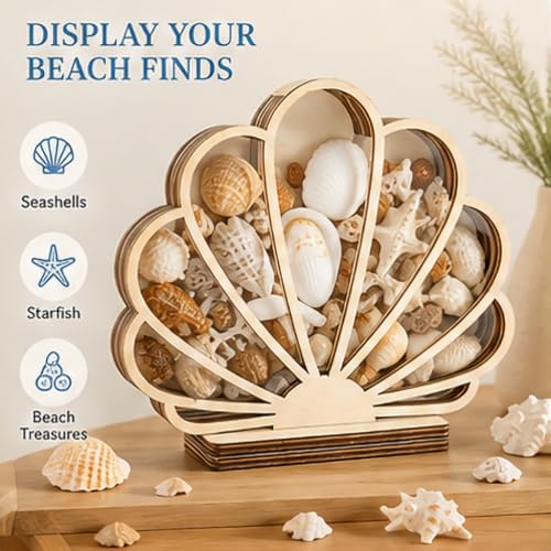 Wooden Seashell Shadow Box Display Stand Coastal Decor