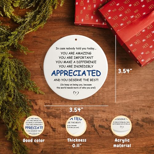 You Are Appreciated Nurse Teacher Retirement Ornament - Holiday Gift for Coworkers