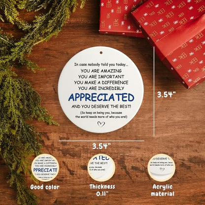 You Are Appreciated Nurse Teacher Retirement Ornament - Holiday Gift for Coworkers