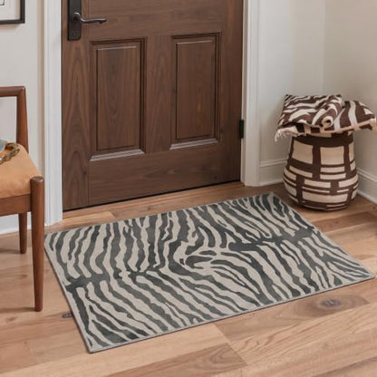 Indoor Zebra Rug 2x3 Small Entryway Door Mat - Grey & Beige Washable