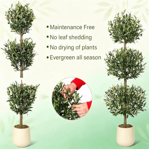 Artificial Olive Tree 5ft with White Planter & Moss - Three Ball Topiary (Variation 1)