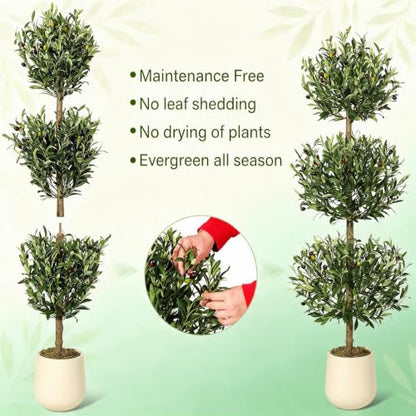 Artificial Olive Tree 5ft with White Planter & Moss - Three Ball Topiary (Variation 1)