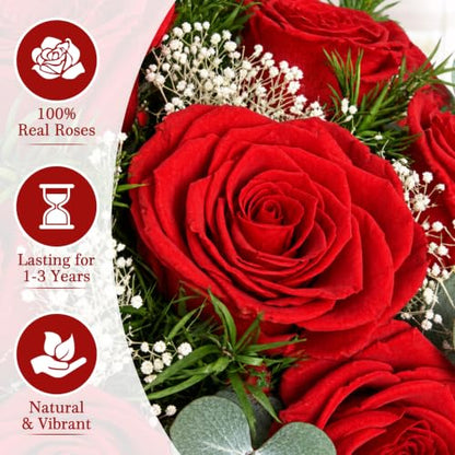 Preserved Flower Gift Set - Red Roses for Birthday, Anniversary, or Special Occasion (Variation: Red)