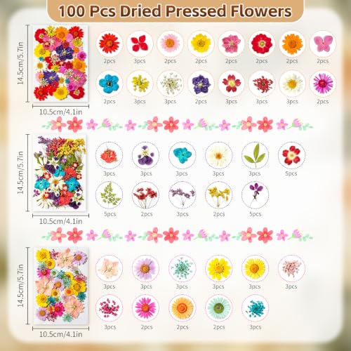 Dried Pressed Flowers Kit for Resin Crafts - Multicolored, 100+ Flowers & Leaves