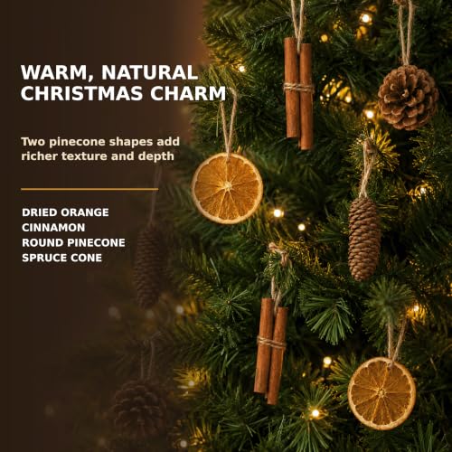 Natural Christmas Decorations Set with Dried Orange, Cinnamon, Pinecones