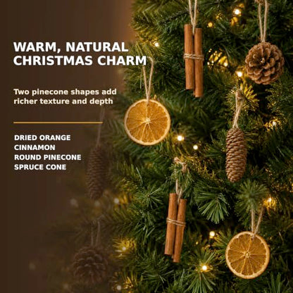 Natural Christmas Decorations Set with Dried Orange, Cinnamon, Pinecones
