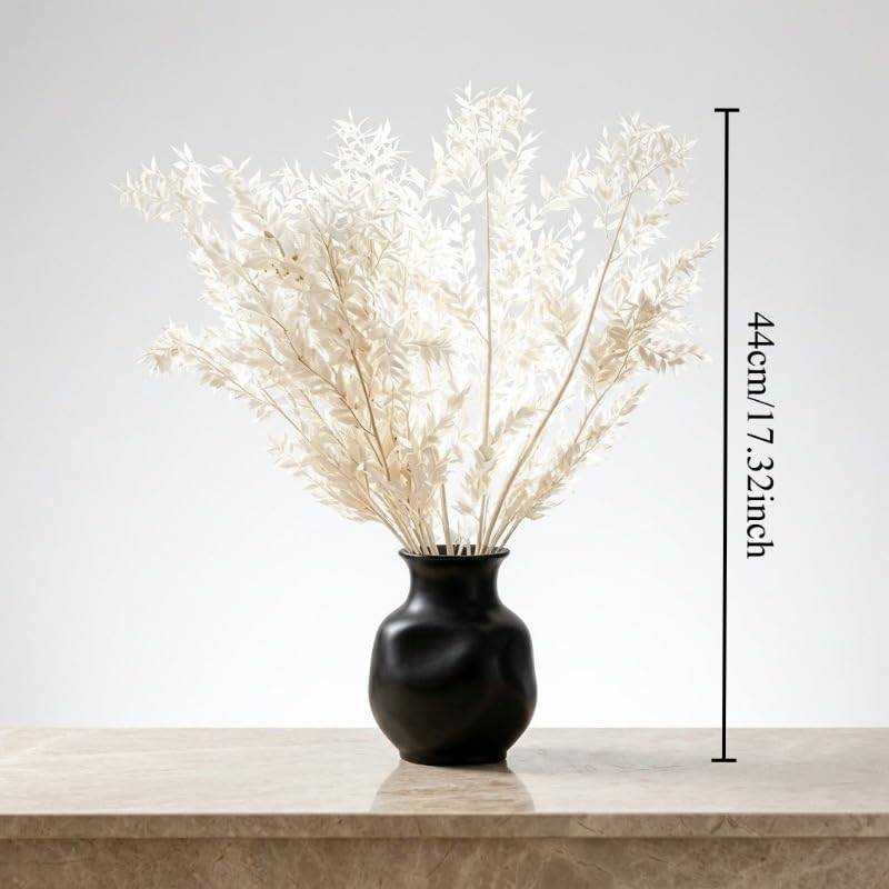 White Preserved Italian Ruscus Branches - 10pcs Dried Foliage for Wedding Bouquets & Home Decor