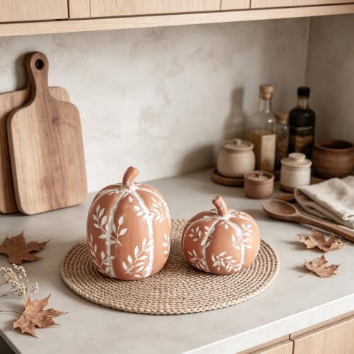 DN DECONATION Fall Pumpkin Decor Set - Orange Terracotta Rustic Thanksgiving Table Centerpieces