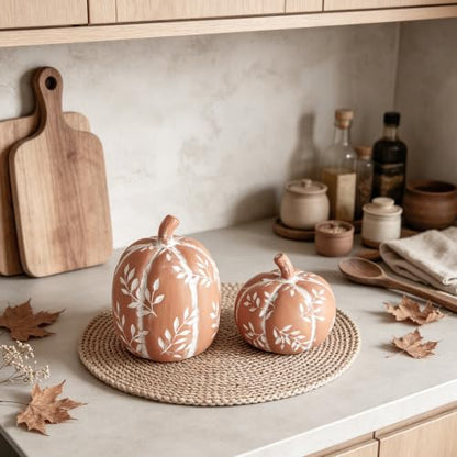 DN DECONATION Fall Pumpkin Decor Set - Orange Terracotta Rustic Thanksgiving Table Centerpieces