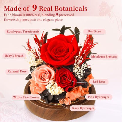 Red Preserved Roses Gift in Acrylic Dome for Her Birthday - Forever Flowers